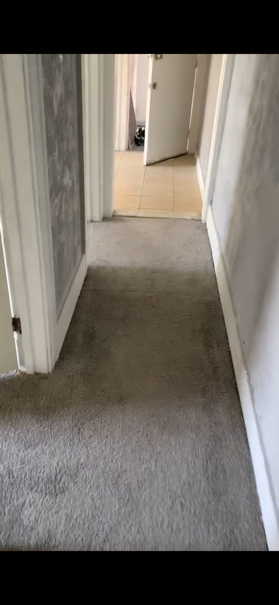 Building Photo - 9845 Belleterre St