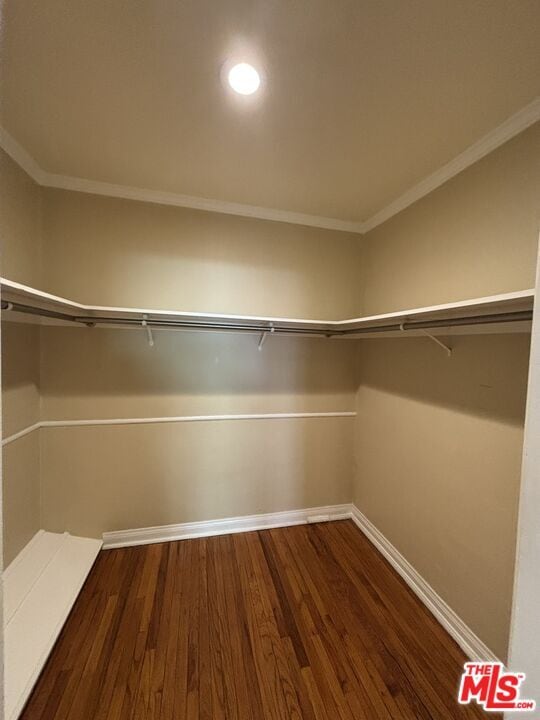 Building Photo - 117 Kings Rd