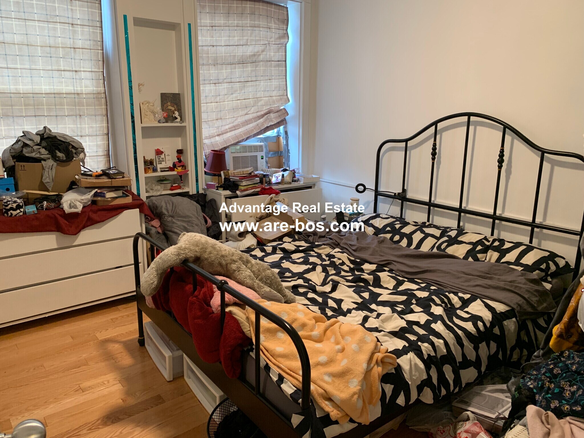 Building Photo - 50 Chester St