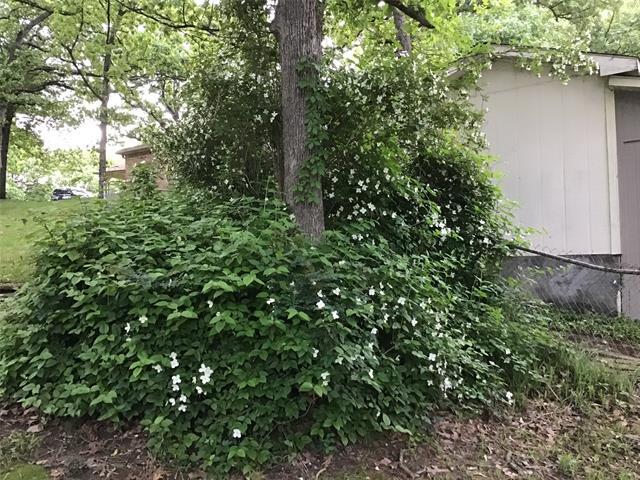 Building Photo - 5320 Loma Vista