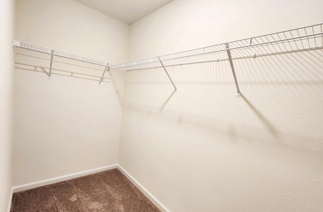 Building Photo - 11172 Stapleton Dr