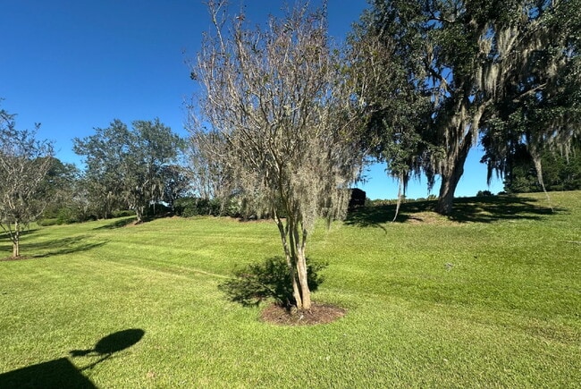 Building Photo - Two Bedroom Home in Sun City Offering One Month Free Rent!