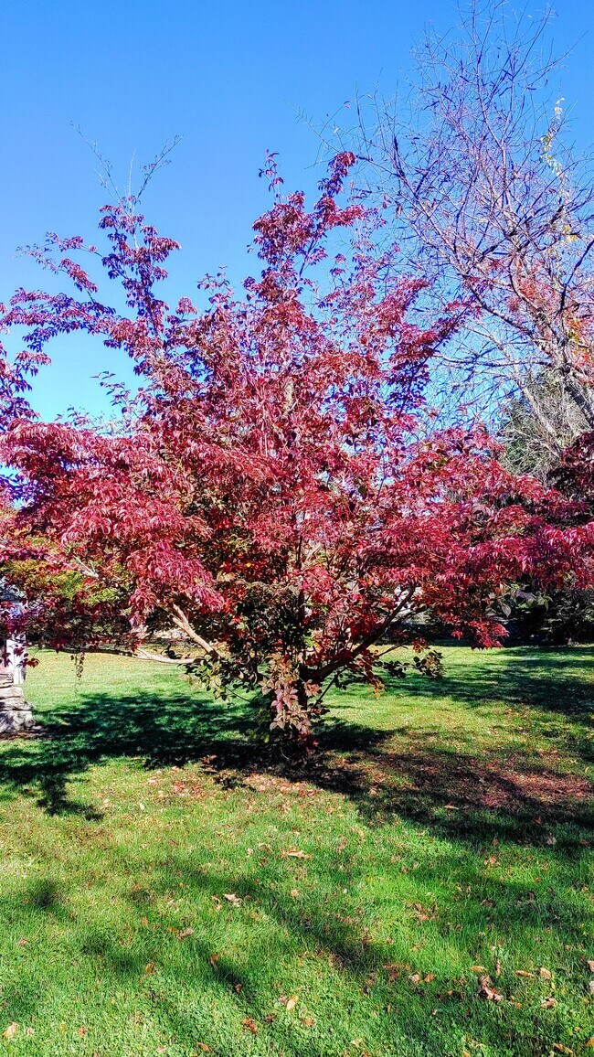 Building Photo - 94 Cross Rd