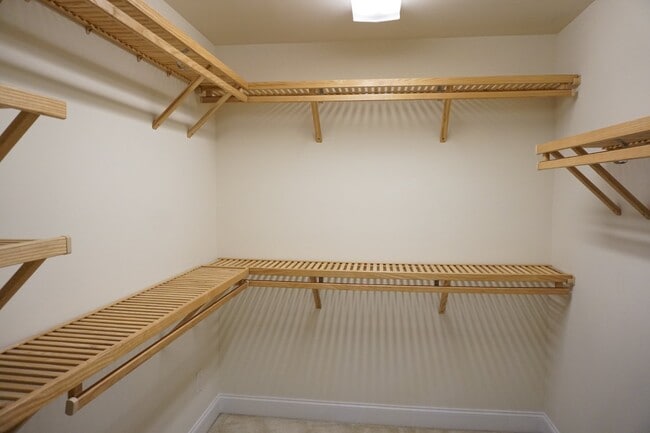 Building Photo - 1020 Ringlet Ct