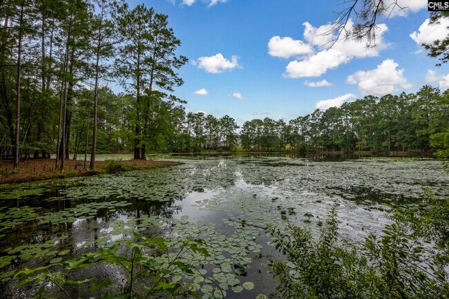 Building Photo - 349 Gracemount Ln