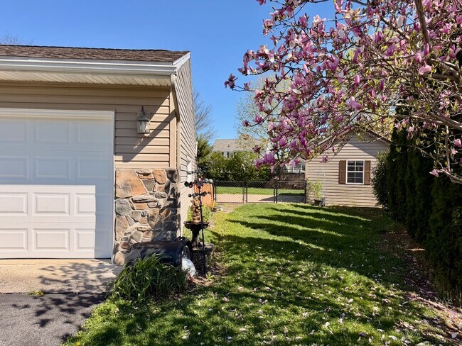 Building Photo - Ranch Home with 3 Bedrooms and a Yard