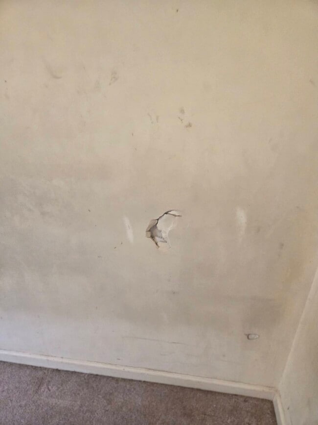 Building Photo - 115 Blackwelder Ave