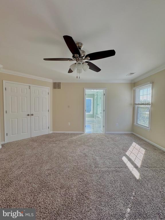 Building Photo - 12102 Snow Shoe Ct