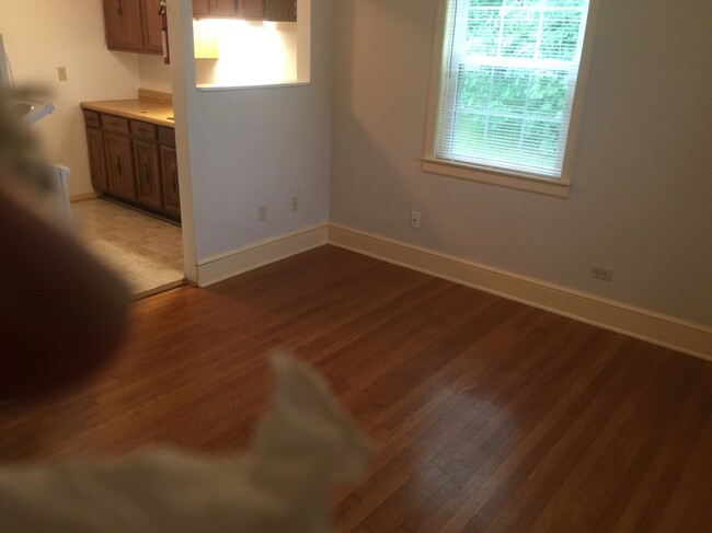 Living room looking into kitchen - 203 Kent St