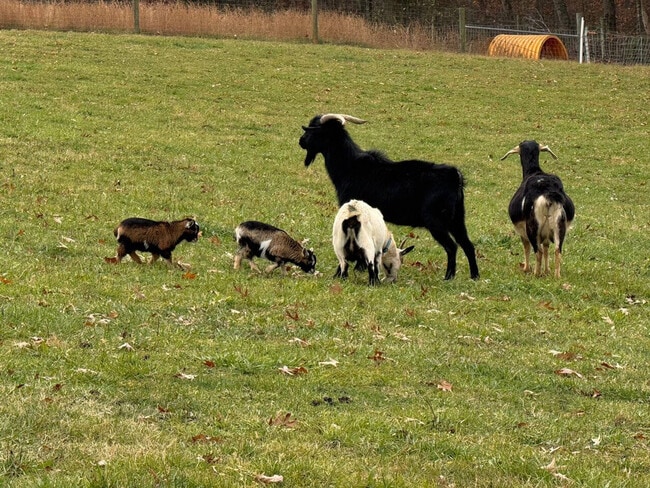 Building Photo - 16615 Spotswood Trail