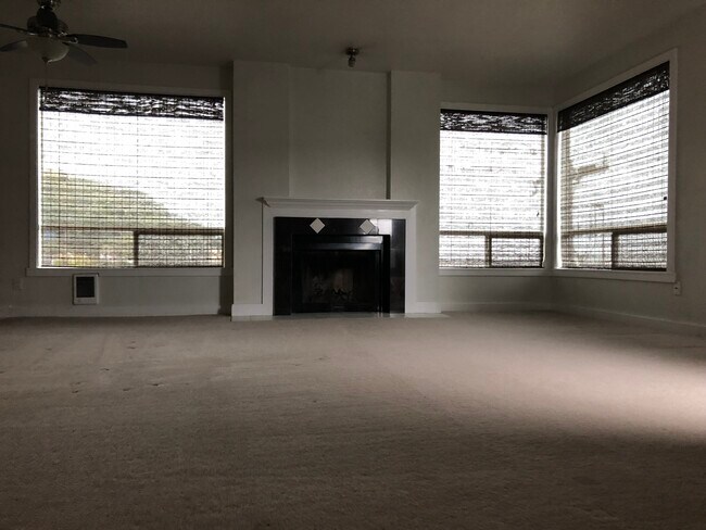 Fire place in living room - 1404 W Boston St