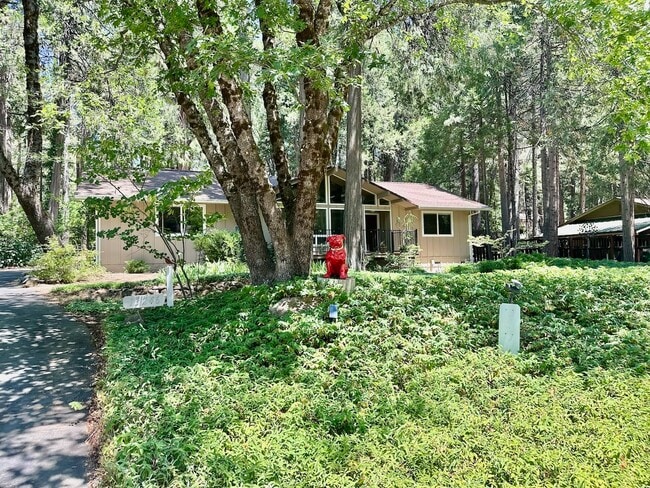Building Photo - 13246 Red Dog Rd