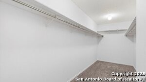 Building Photo - 10515 Westfield Pl