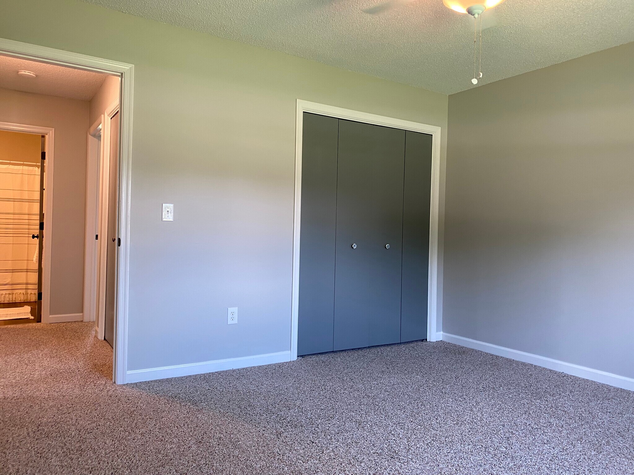 Bedroom 1- Now has LVP Floors - 411 W Young St
