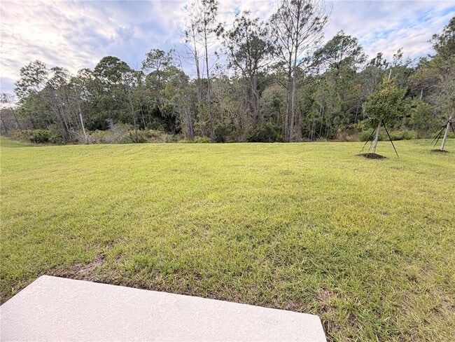 Building Photo - 4718 Yellow Elder Wy