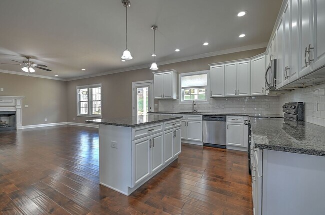 Building Photo - 4 Bedroom / 2.5 Bath Home  Kingsport, TN