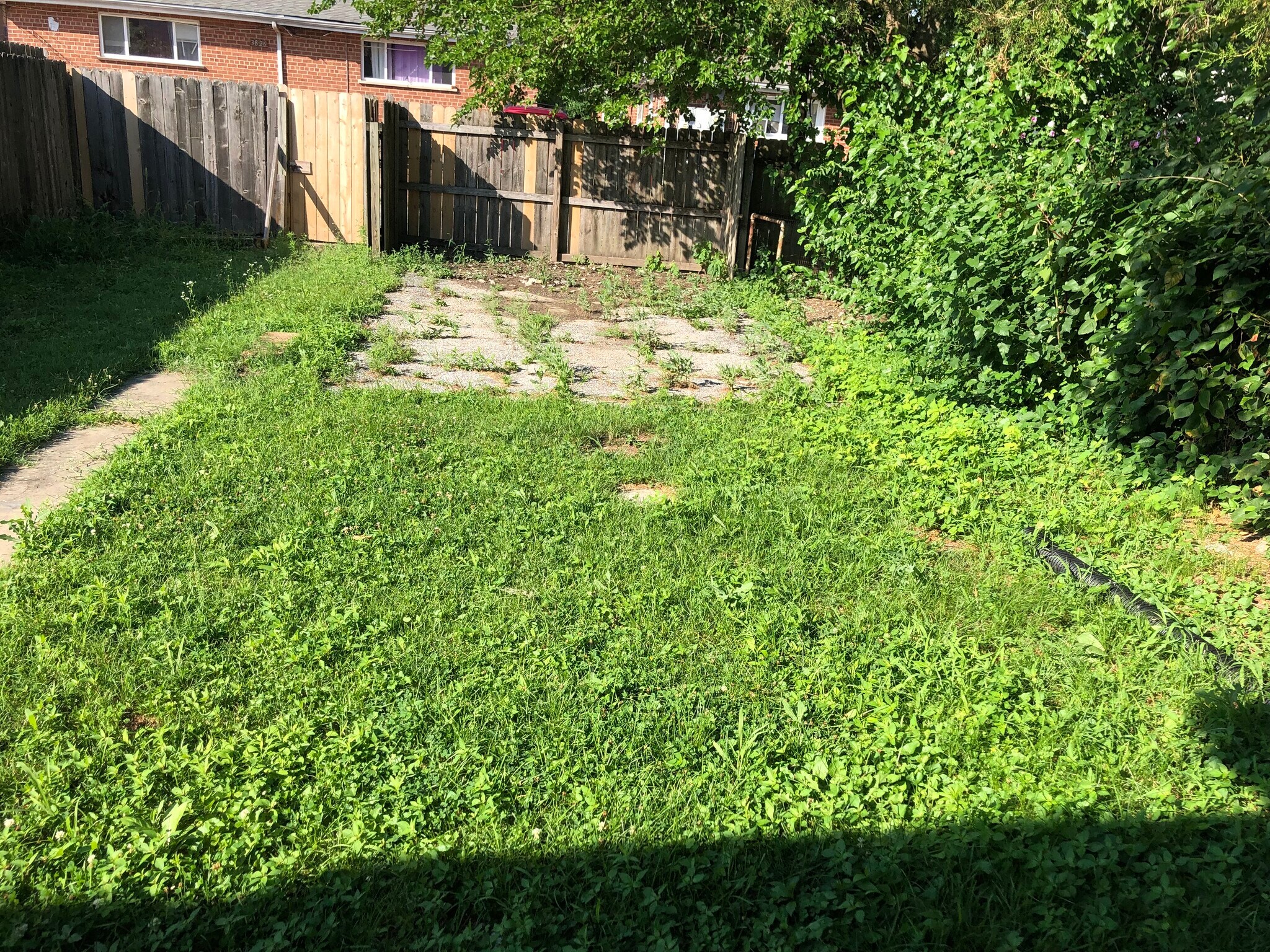 Back yard - 3827 Eiler St