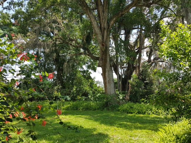 Beautiful yard with mature trees - 6906 Coach St