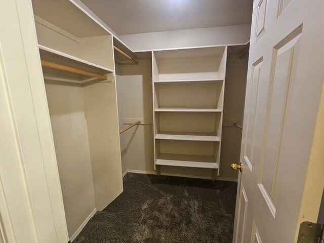 Building Photo - 2488 W Wave Ct