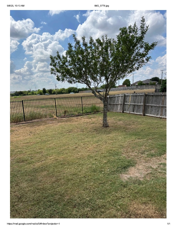 Building Photo - 1123 Blazewood Dr