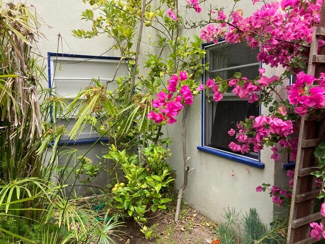 Unit B Adjacent Unit C - 1042 Pearl St