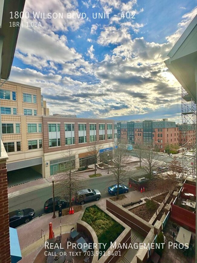 Building Photo - Walk to Rosslyn Metro! Bright and Spacious...