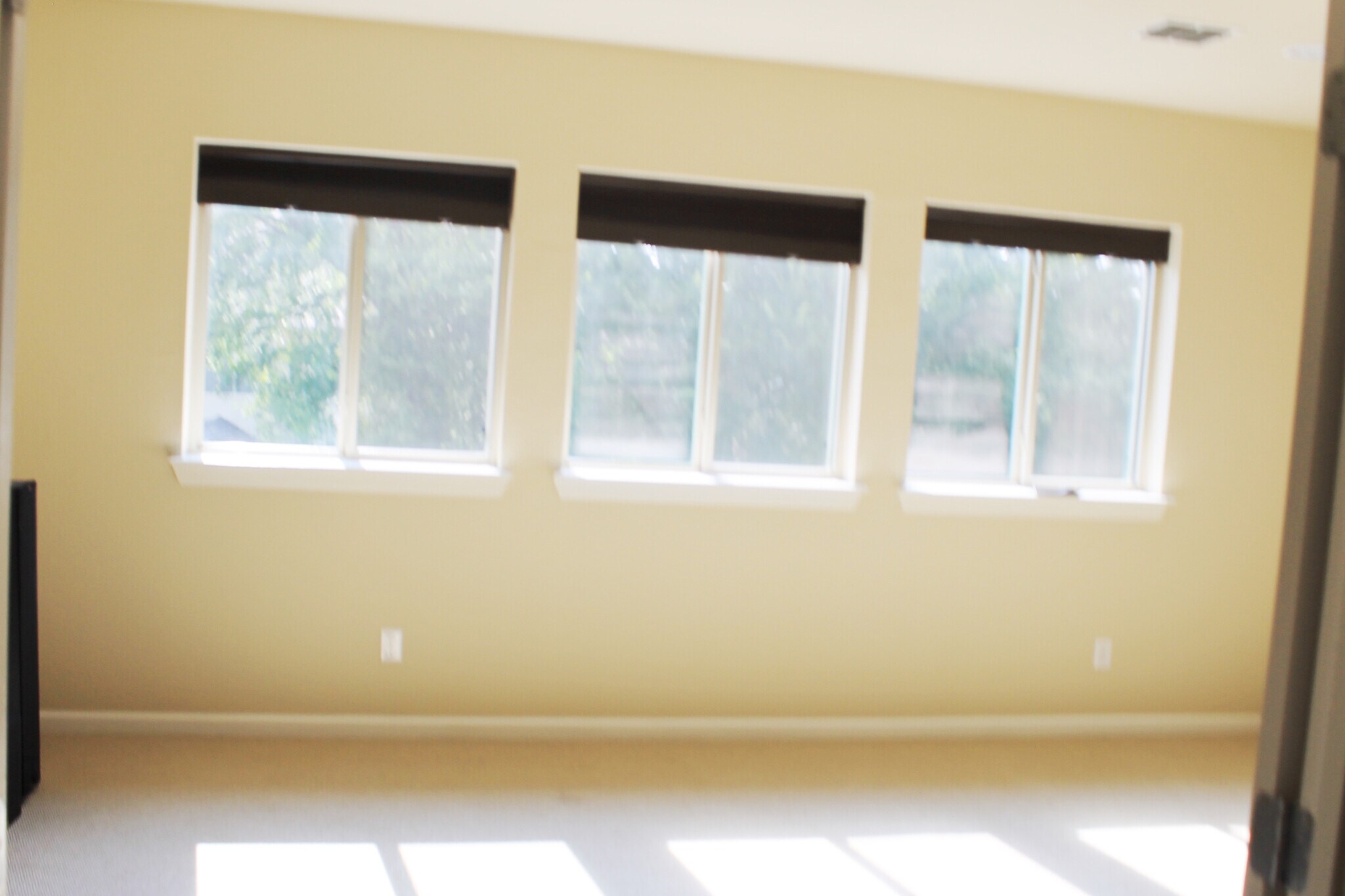 Building Photo - 508 Hidden Meadow Dr