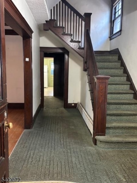 Building Photo - 15 Albion St