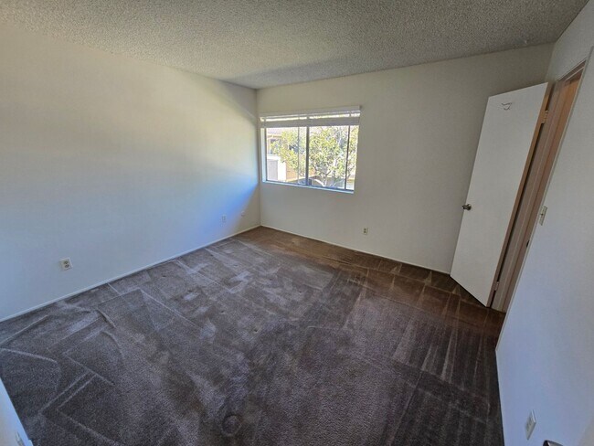 Building Photo - 910 Amistad Ct