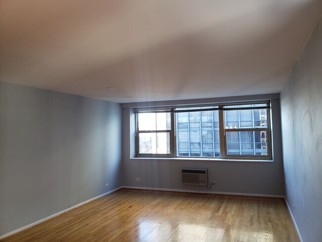Living Room - 253 E Delaware Pl