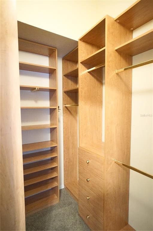 Building Photo - 11154 Windsor Pl Cir