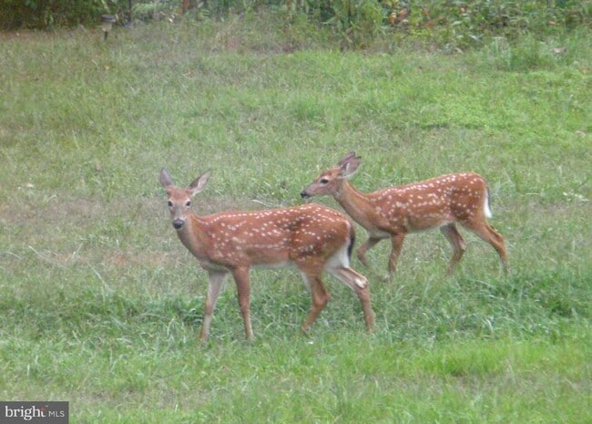 Building Photo - 307 Larkspur Rd