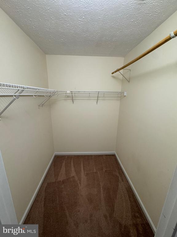 Building Photo - 219 Sherando Cir
