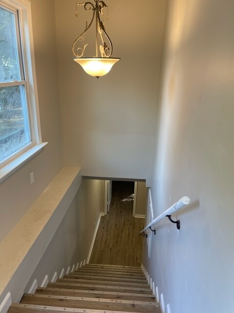 Building Photo - Curio