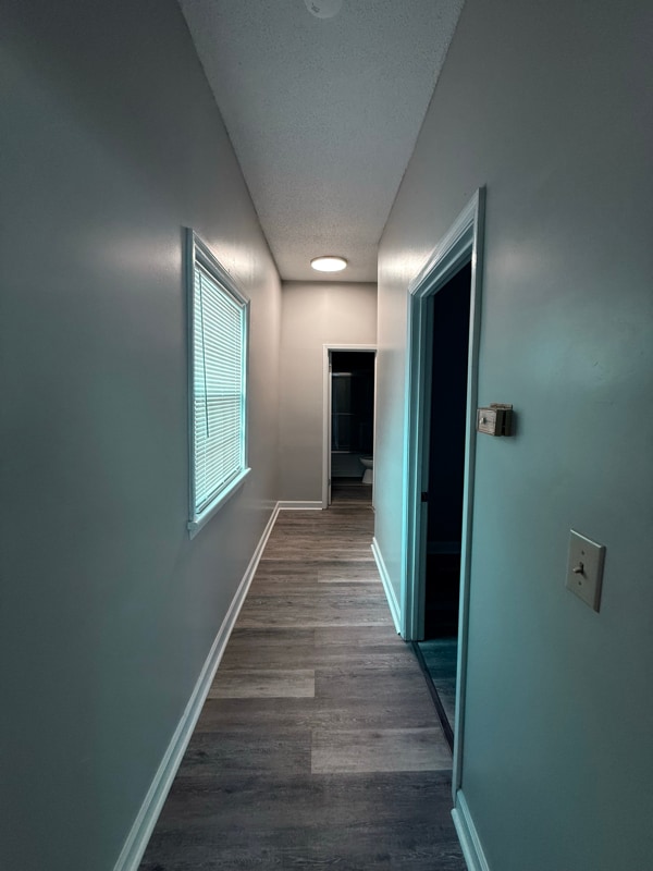 Building Photo - 537 Robertson St