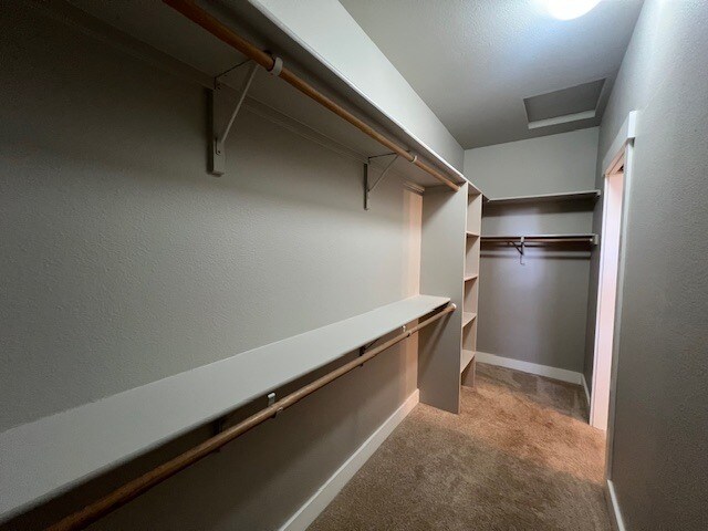 Building Photo - 2 Bed 2 Bath in Boise!