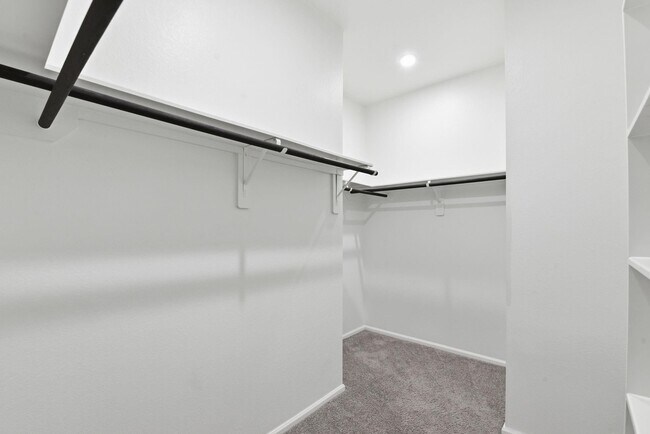 Building Photo - 26327 Rising Lgt Ln