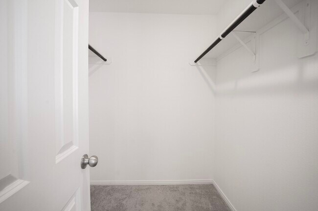 Building Photo - 10622 Cashew Run Ln