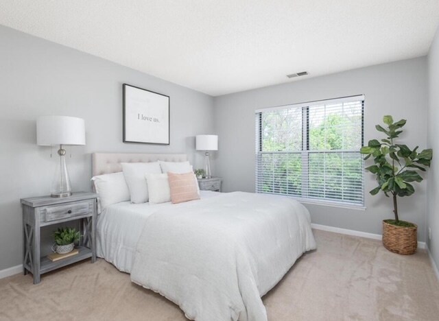 Large bedroom with new windows - 6165 Chasewood Pky