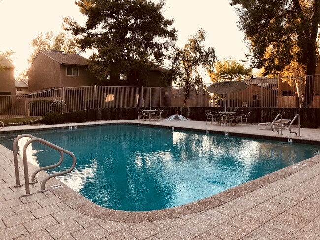 Sparkling Pool - 264 E Betty Elyse Ln