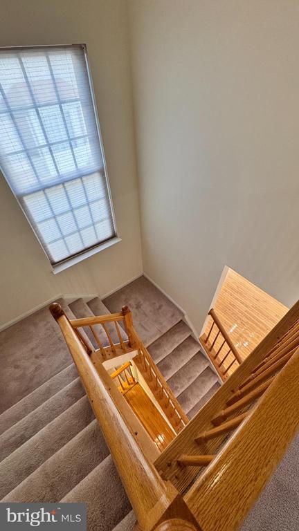 Building Photo - 9611 Normanton Way