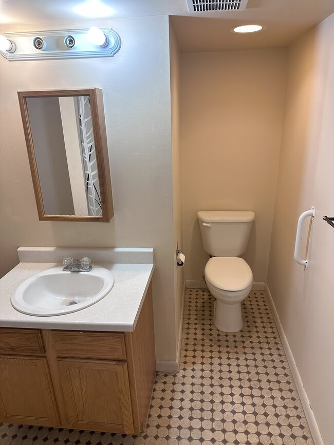 Basement bathroom - 2967 W Tanforan Dr