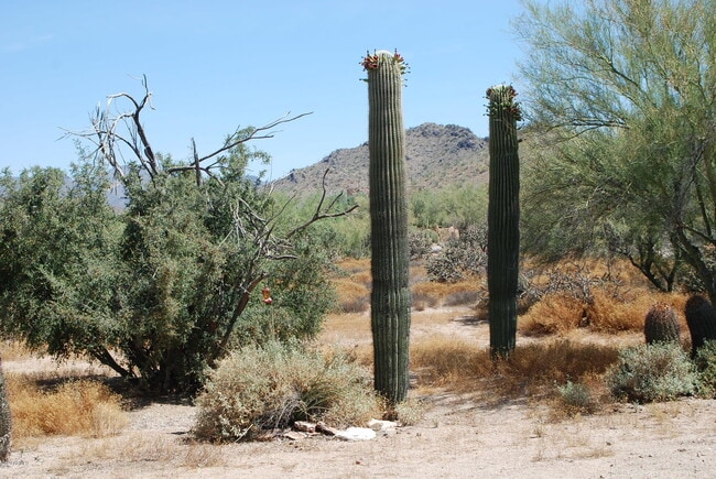 Building Photo - 35407 N 54th St