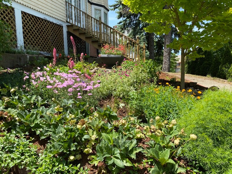 Building Photo - 90 Chandler St