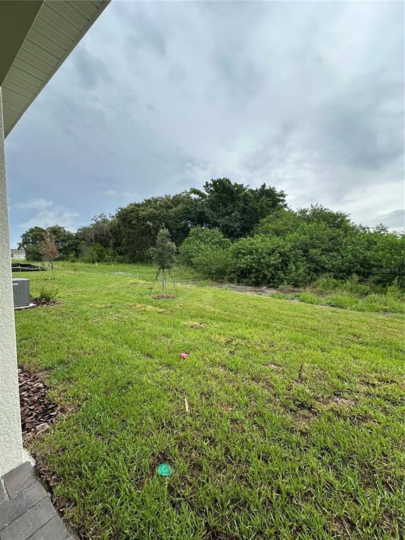 Building Photo - 2291 Mossy Vine Ave