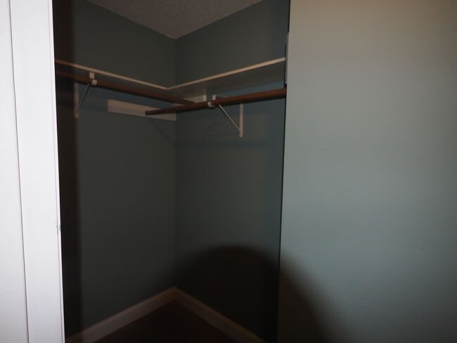 Building Photo - Amazing Austin condo!