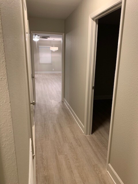 Building Photo - 2405 N Ricketts St