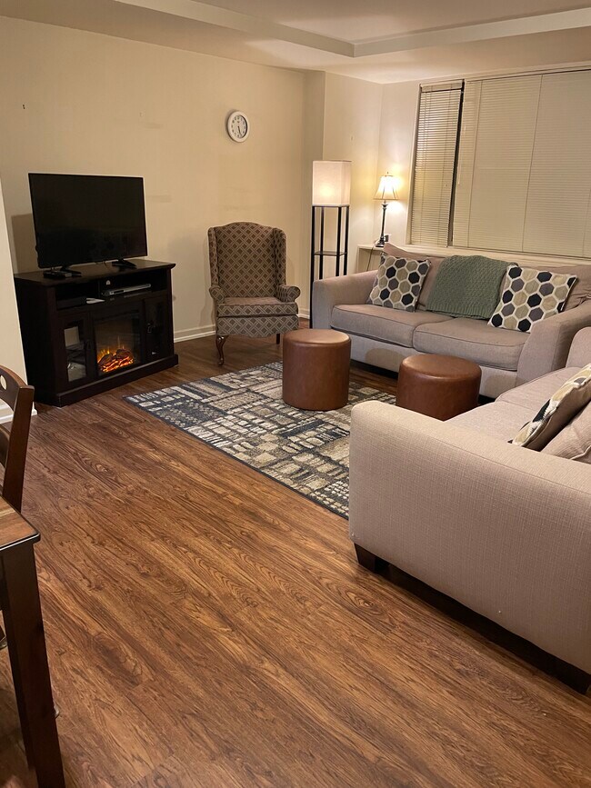 Living room - 1121 Arlington Blvd