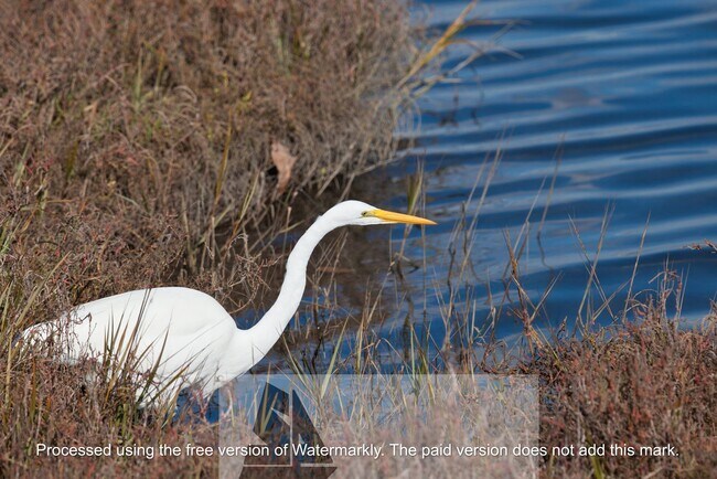 Building Photo - Gorgeous Huntington Beach Single Story Home!