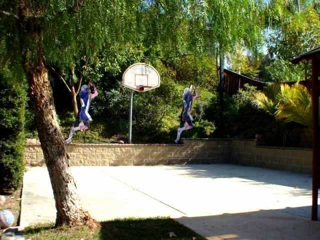 Basketball 1/2 Court - 601 Aliento Ct